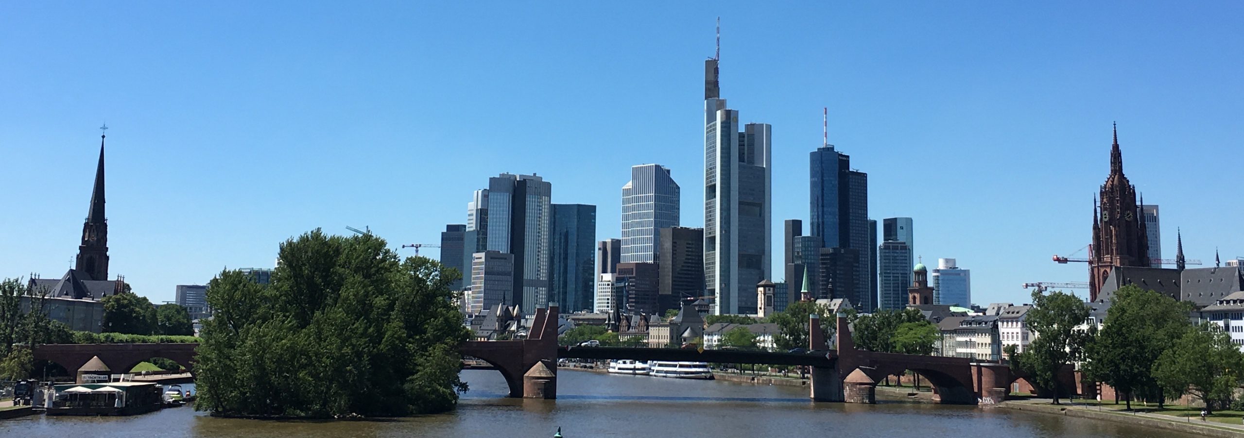 中垣耀さん(International School Frankfurt Rhein-Main卒)